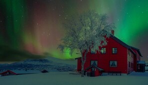 Eksteriør