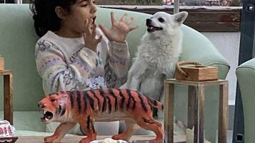 Une personne assise à une table, avec un tigre en peluche et un chien.