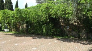 A paved pathway with a brick pattern, bordered by dense green foliage and trees. - Villa Girasole B&B (Torri del Benaco)
