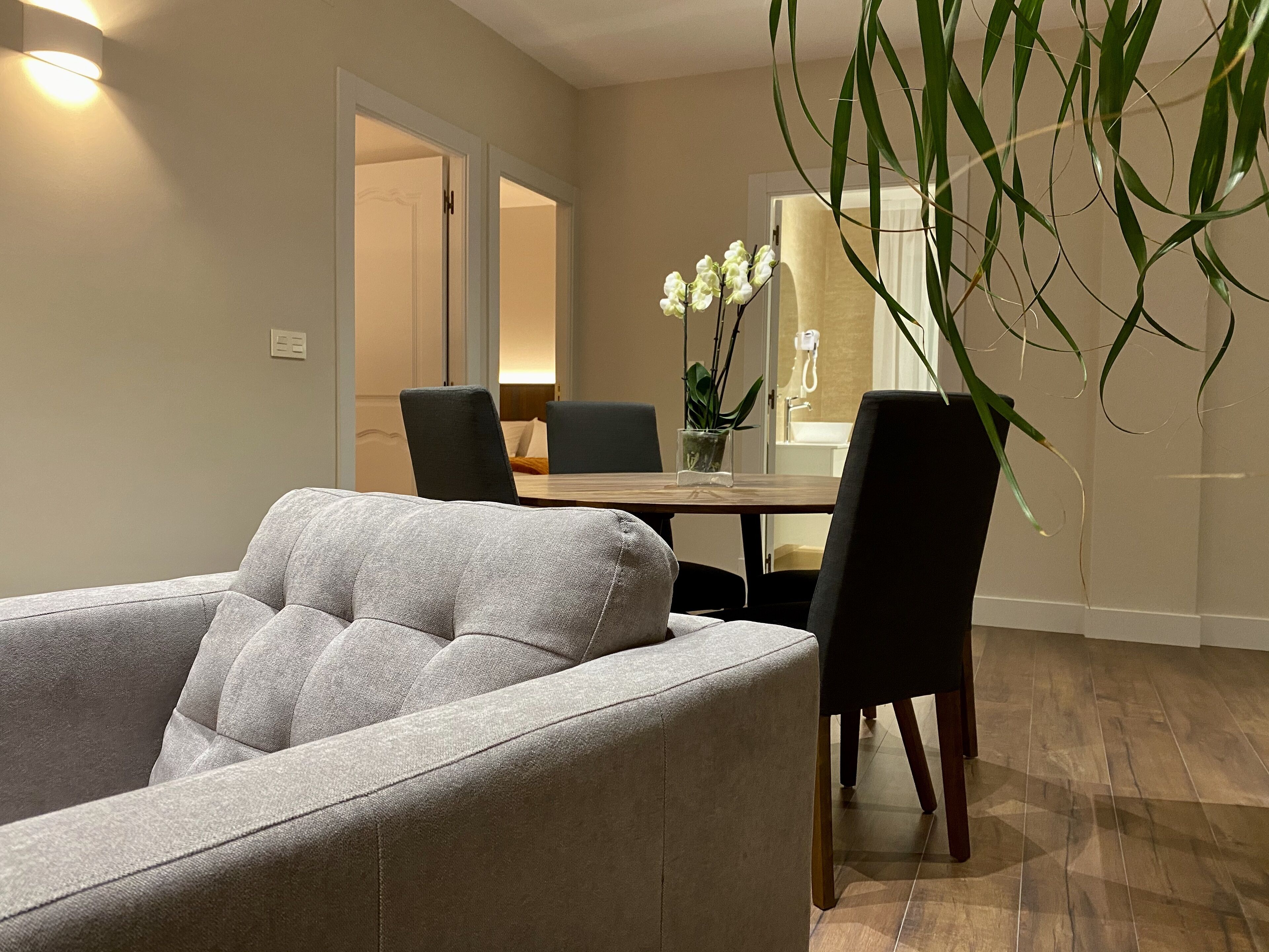 Un salon moderne avec un canapé gris, une table à manger avec des chaises et une plante en pot.