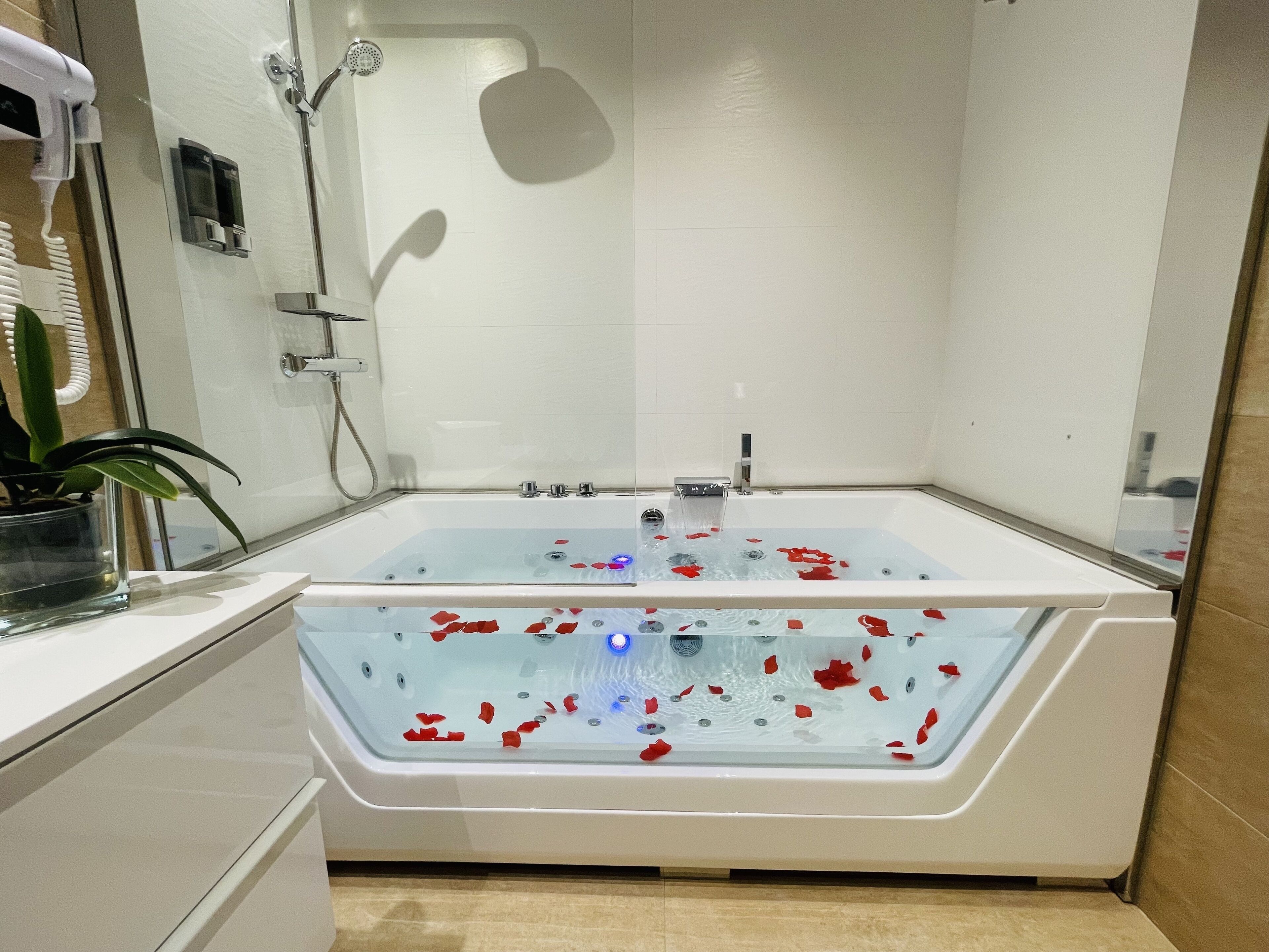 Un baño moderno con una bañera de hidromasaje con mampara de vidrio, un cabezal de ducha de mano y una planta en maceta.