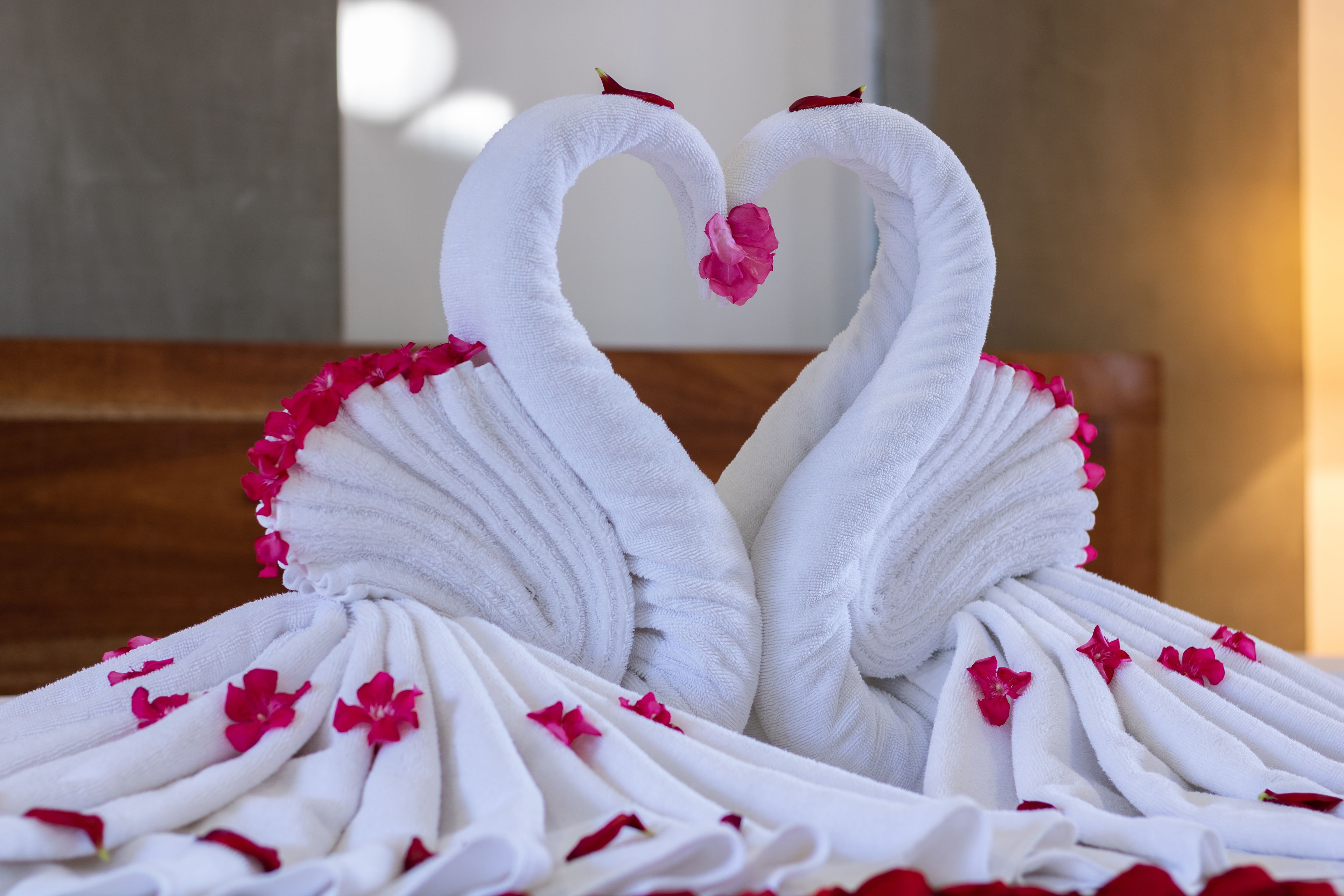 Photo - Tanei Angkor Resort and Spa