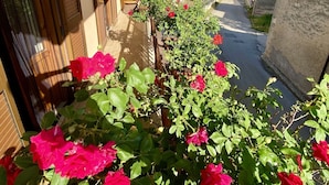 Une rue étroite, bordée de bâtiments des deux côtés, un ciel dégagé et des fleurs rouges au premier plan.