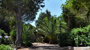 Un sendero de grava rodeado de abundante vegetación y árboles.