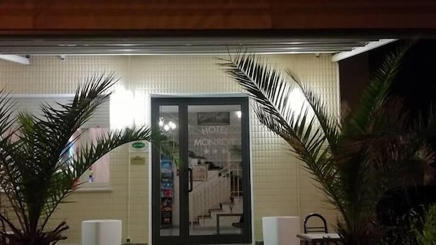 A hotel entrance with a glass door, steps leading up to it, and potted plants on either side. - Hotel Mon Reve (Rimini)