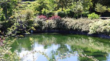 A tranquil garden with a pond, surrounded by various shrubs and trees.