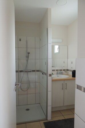 Double Room | Bathroom | Shower, rainfall showerhead, hair dryer, towels