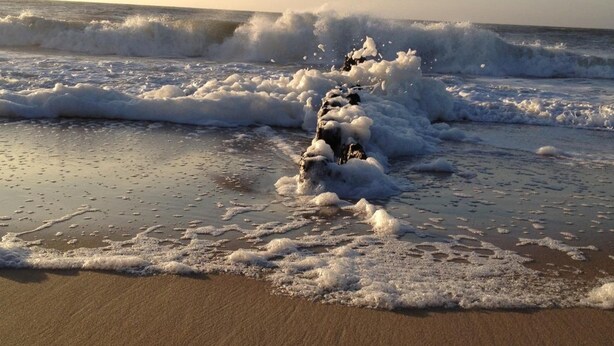 Una playa con olas rompiendo sobre la orilla.