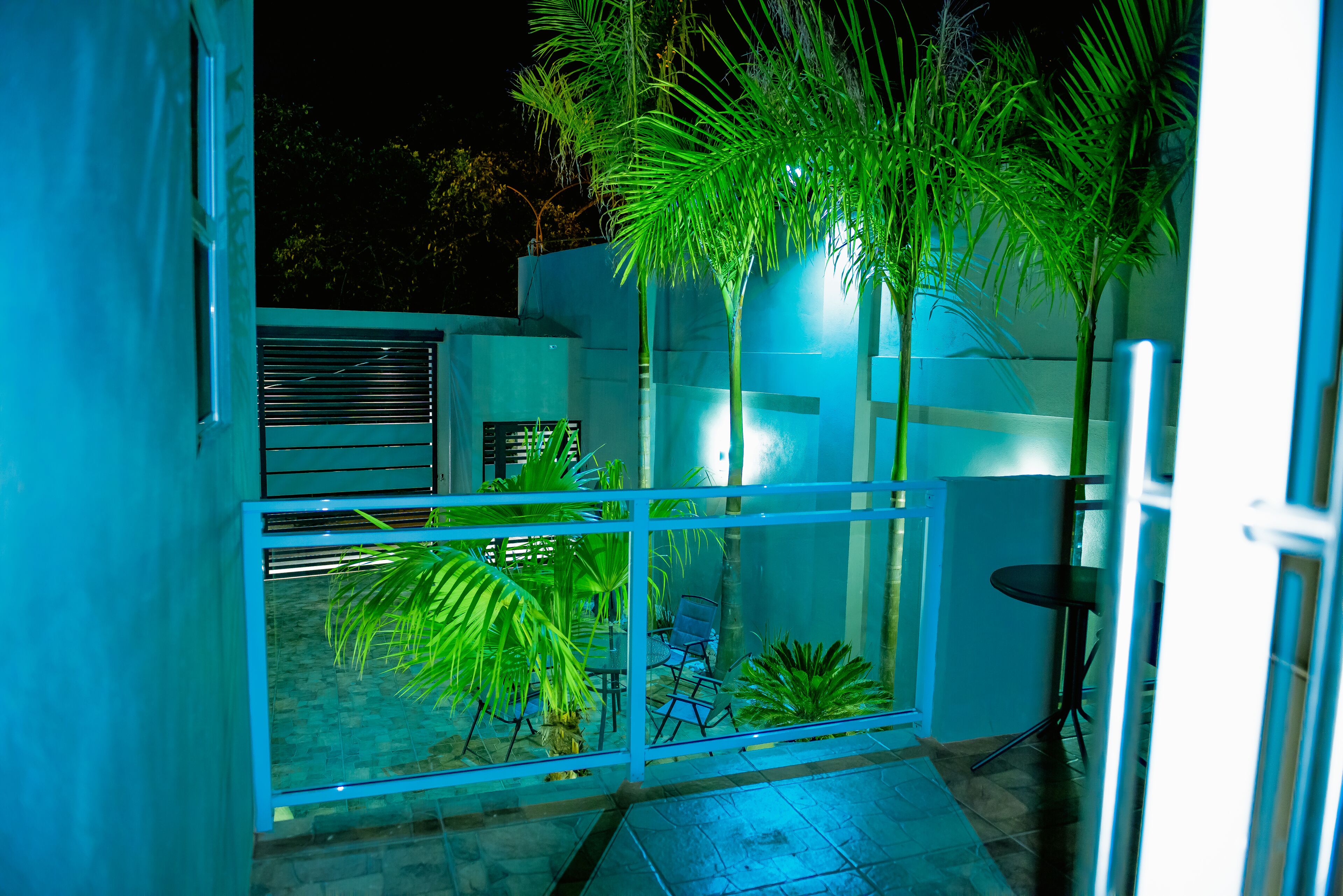 Un espacio exterior moderno con paredes de vidrio, una zona de estar y diversas plantas.