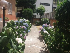 Property grounds - Edo House Monteverde - Holiday apartment between Trastevere and Gianicolo (Roma)