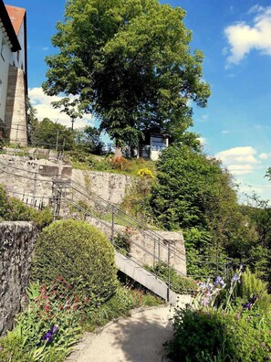 Unclassified image, 3 of 40, button - ������������������������  ������������������������������������������������������������������������������� (Hollfeld)