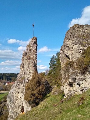 صورة غير مصنفة، 5 من 40، زرّ