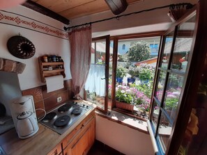 Fridge, oven - ������������������������������������������������������������������������������������������������������� (Hollfeld)