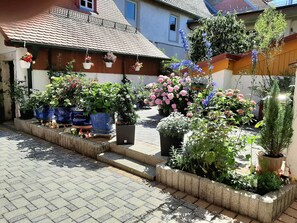 Unclassified image, 5 of 40, button - ��������������������������������������������������������������������  ����������������������������������� (Hollfeld)