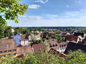 Unclassified image, 4 of 40, button - ������������������������������������������������������������������������������������������������������� (Hollfeld)