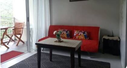1br (Jacana B 602) Pico de Loro
