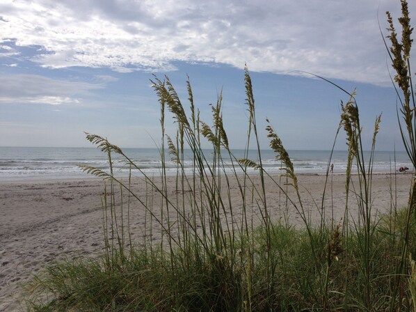 Beach nearby, sun loungers, beach towels