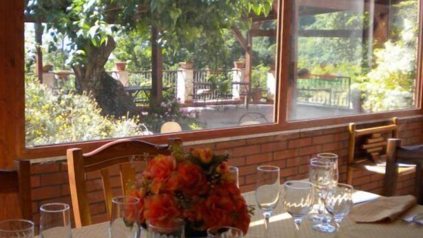 A dining table with chairs and a vase of flowers, set against a window with a view of trees and a fence. - La Magione del Capitano (Montecorvino Pugliano)