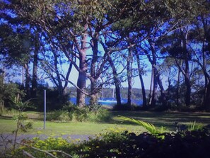 Property grounds - Bayview water front holiday rental. (Lemon Tree Passage)