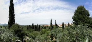 A landscape with tall cypress trees, dense shrubbery, and a distant view of buildings with red roofs. - Villa Costa (Corfu)