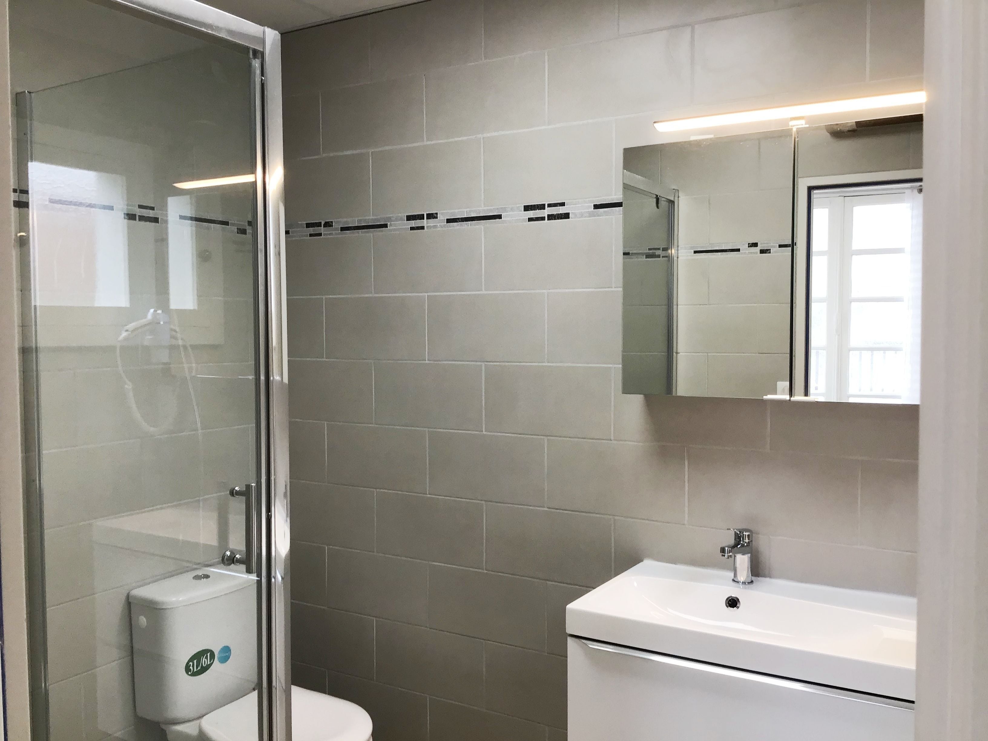 A modern bathroom with a glass shower enclosure, a toilet, and a sink with a mirror above it.
