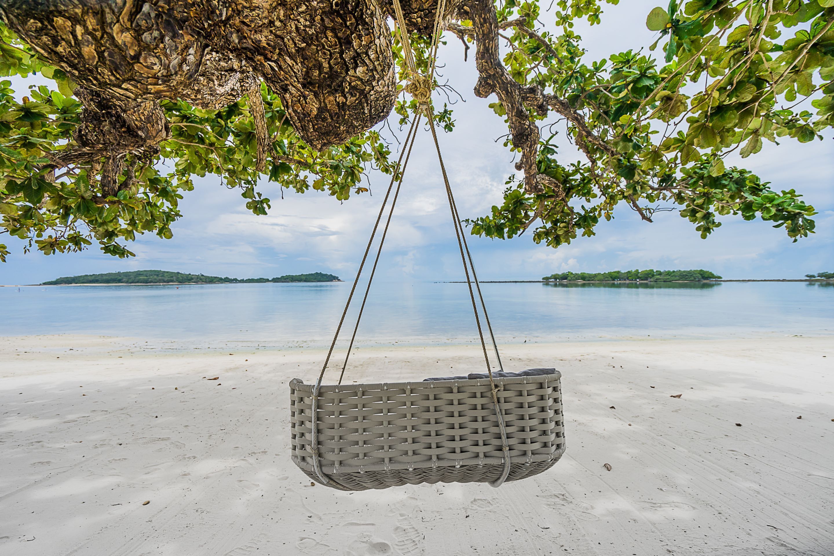 Foto - La Vida Samui