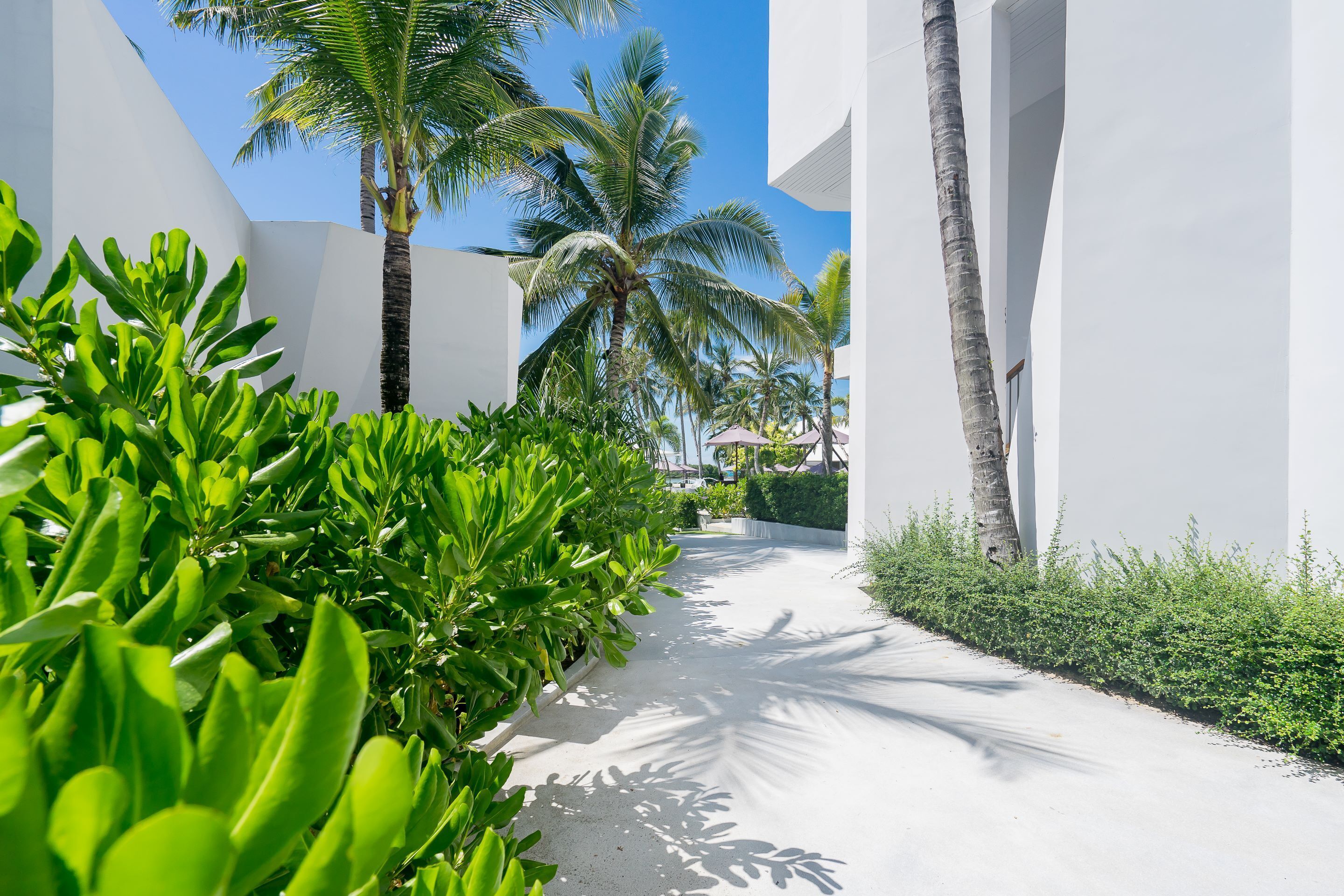 Foto - La Vida Samui