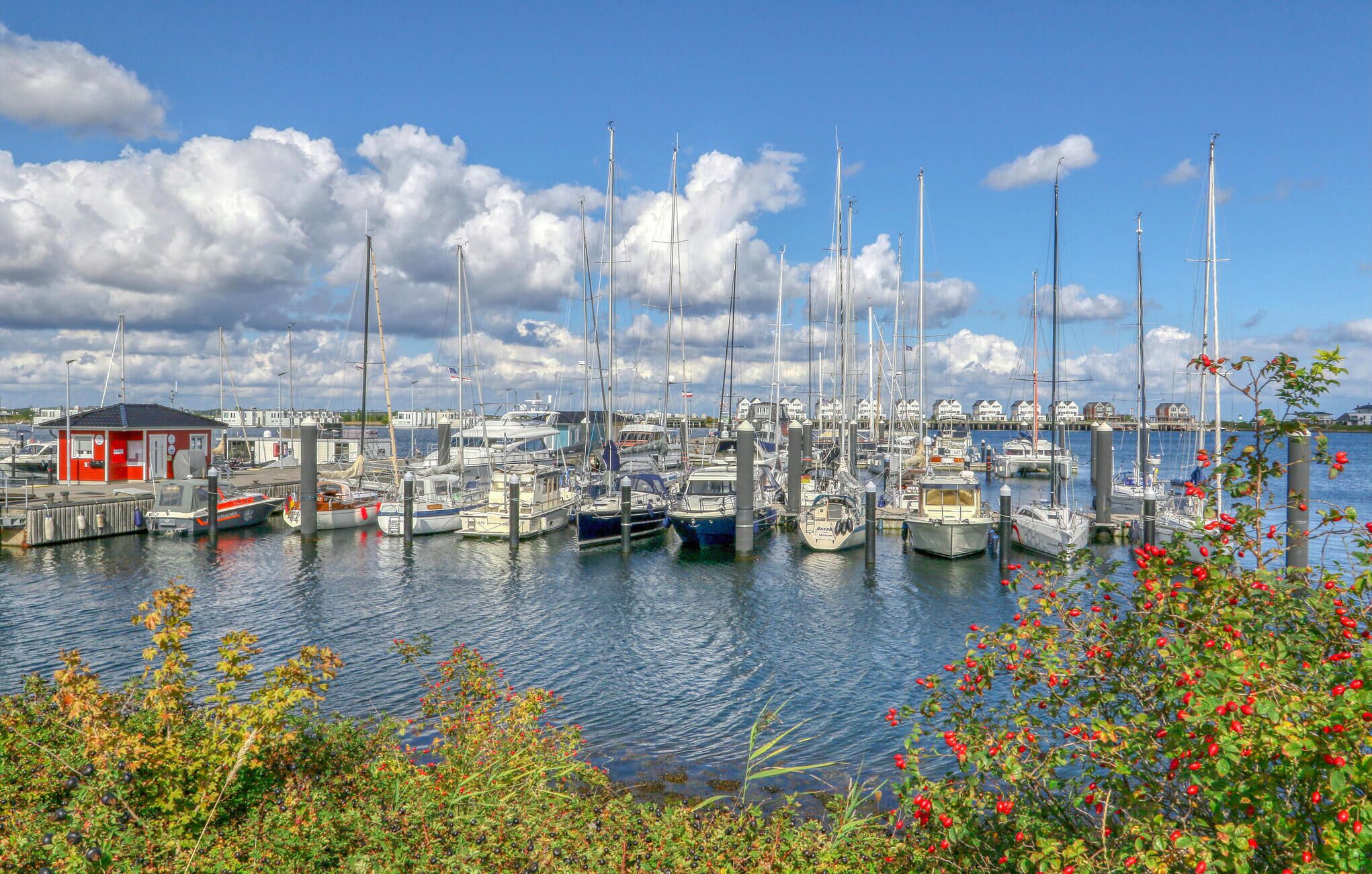 Marina