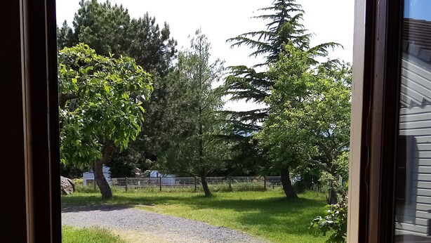 A window view of a grassy area with trees and a gravel path. - Chalet with superb mountain views, very central. (Saint-Diéry)