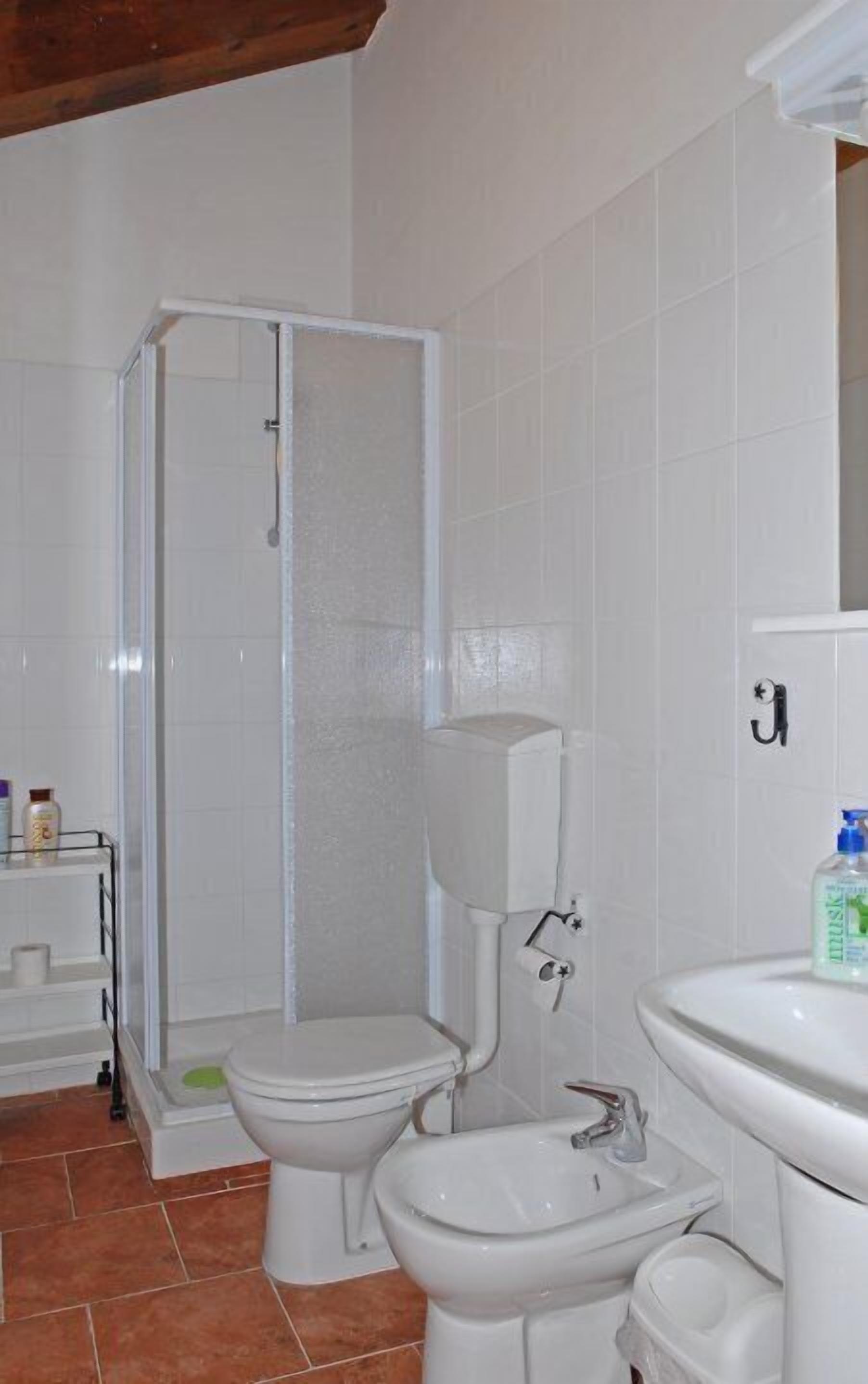 Dusche, Regendusche, Haartrockner, Bidet