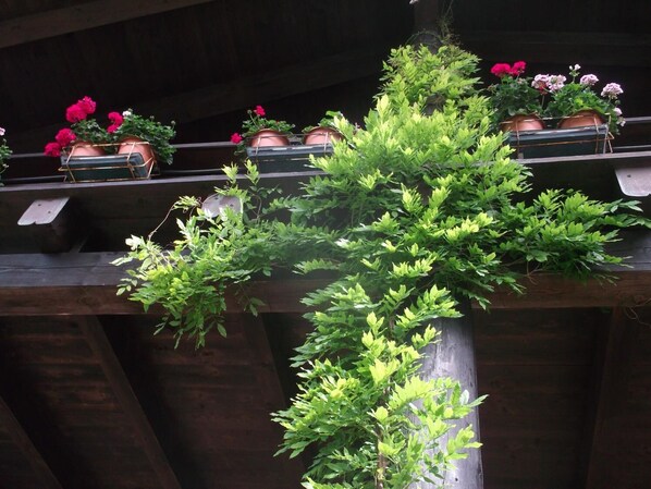 Una estructura de madera con macetas que contienen flores rojas y rosas.