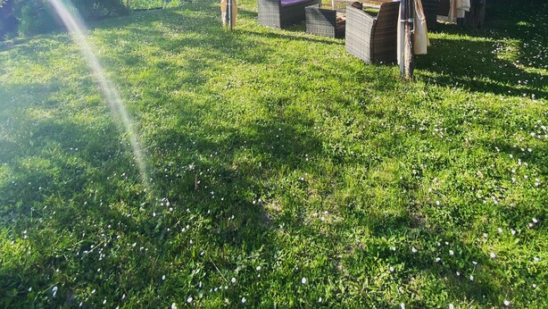 Une cabane en bois dotée d’un auvent, entourée d’une végétation luxuriante et surplombée par un ciel dégagé.