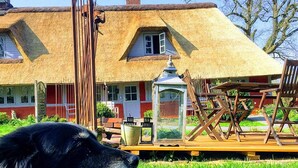 Uma casa com telhado de palha e deck de madeira com móveis para área externa.