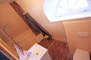 Baño con ducha, lavamanos, inodoro y tragaluz.