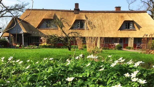 Uma casa tradicional com telhado de palha e um jardim bem cuidado na frente.