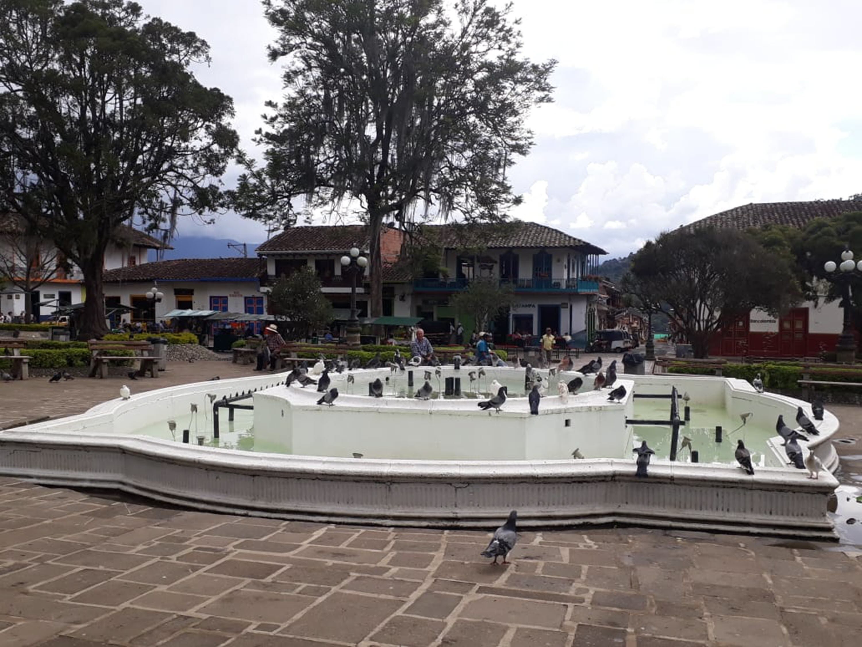 واجهة المنشأة