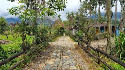 Hotel Jardin es Tuyo