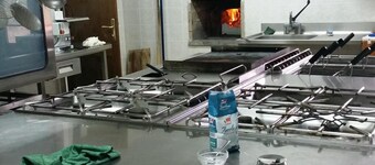 Owned farm with hens, pigs, calves, horses