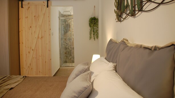 Una habitación con una cama, una puerta de madera, una planta colgante y una zona de ducha.