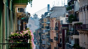 Una calle estrecha bordeada de edificios de varios pisos, balcones con plantas y una torre del reloj al fondo.