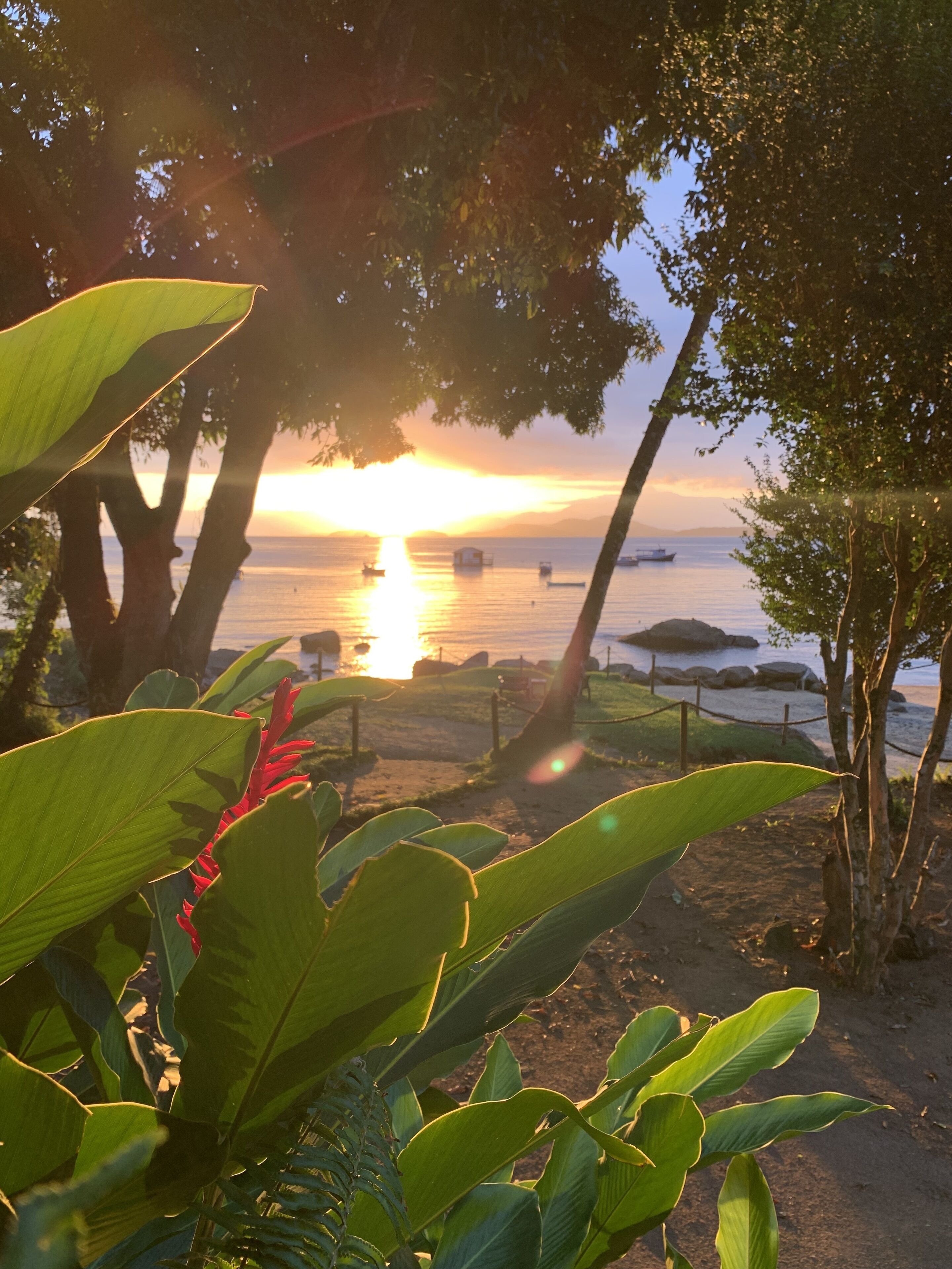 A sunset view with boats on the water, surrounded by trees and foliage.