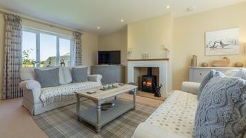 Televisión y chimenea