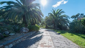 Un vialetto lastricato fiancheggiato da palme e rocce, che si snoda attraverso un giardino.