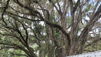 DĂ©tail de lâextĂ©rieur