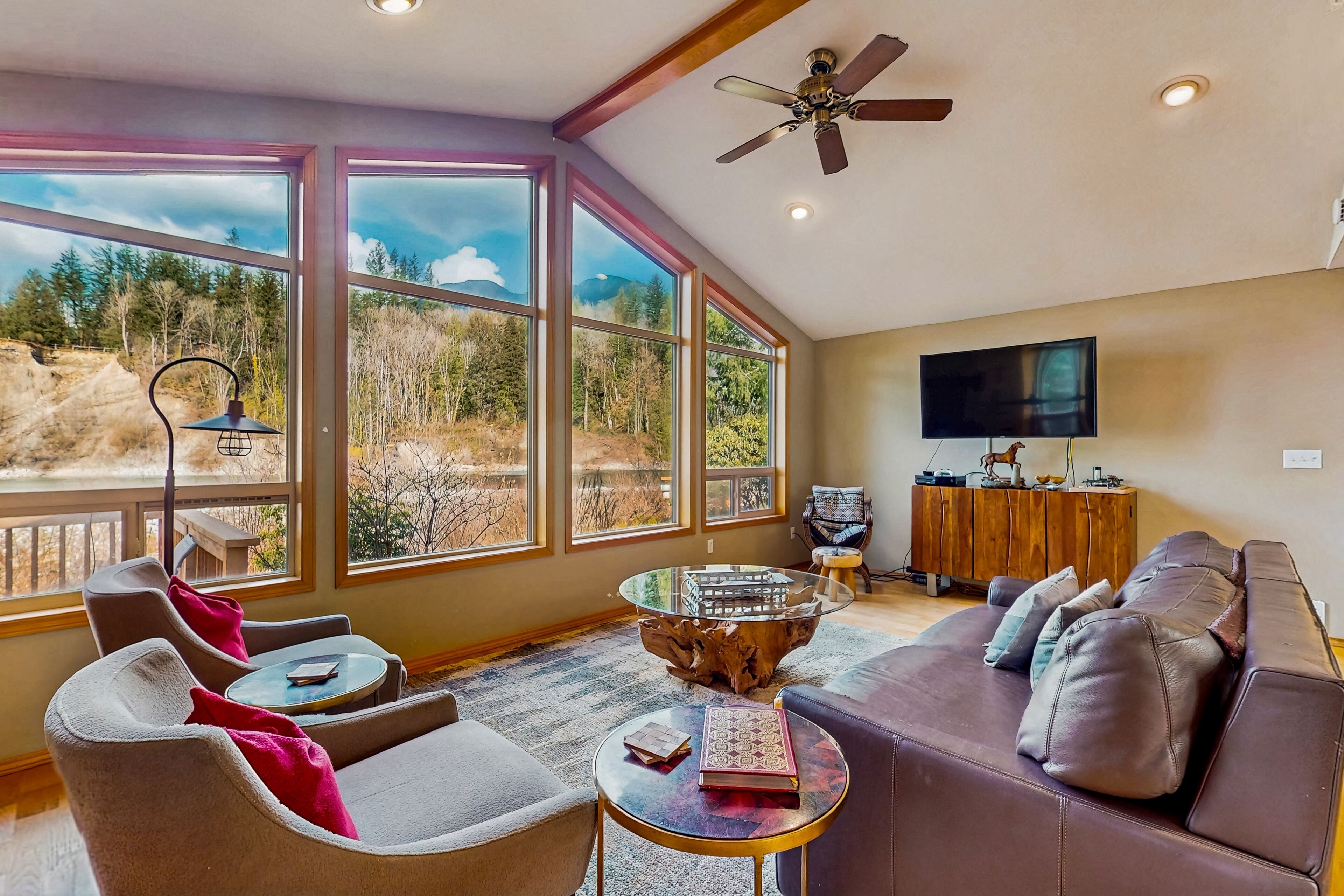 TV, fireplace, video games, books