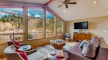 TV, fireplace, video games, books