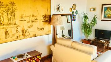 Een televisie en boeken