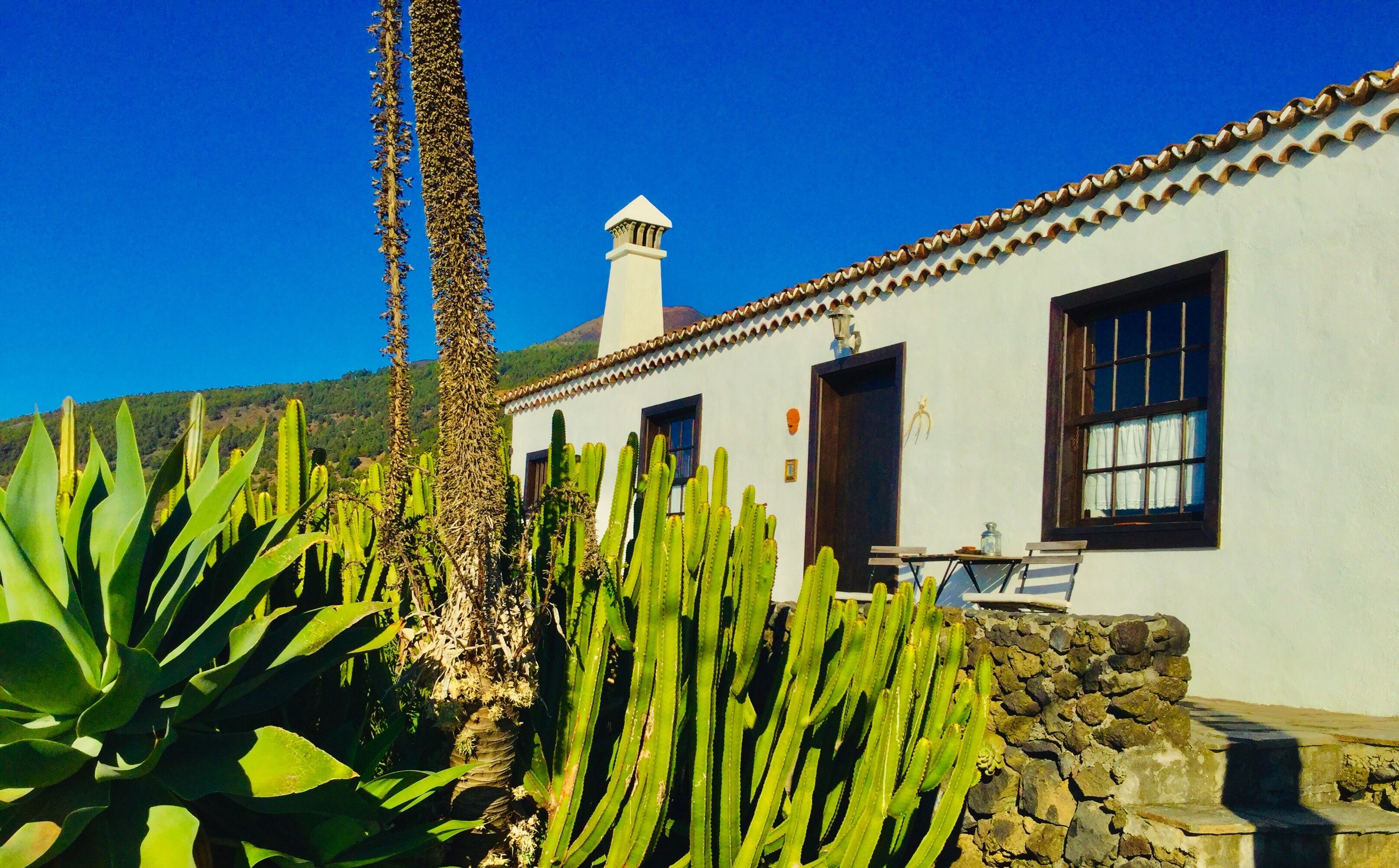 Un edificio blanco con techo de tejas, una pared de piedra y un cactus en primer plano.