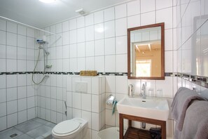 Ducha, secador de pelo, toallas y champú