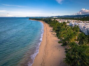 A coastal hotel with a beach view, a sandy shoreline, and palm trees.